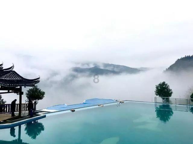 解救金刚鹦鹉