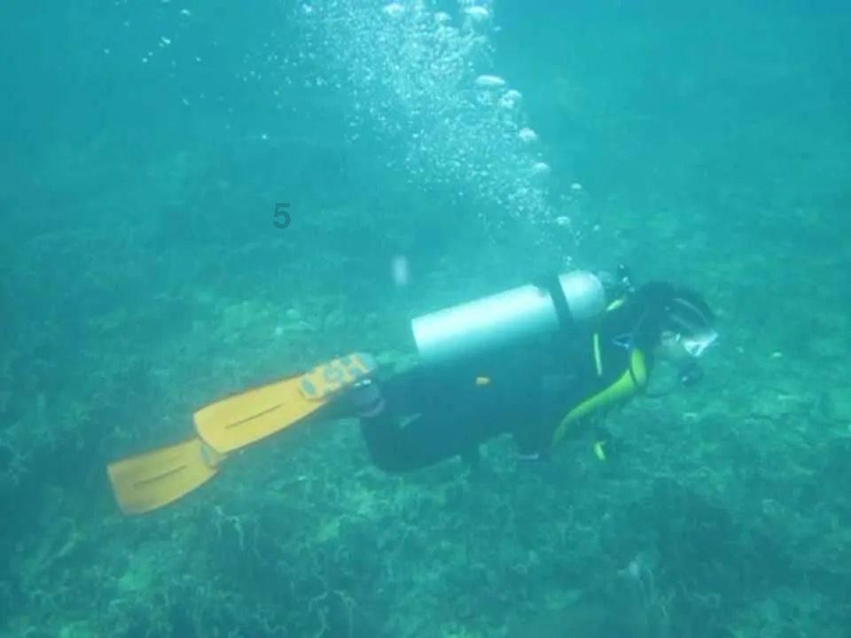 召唤神龙万宁版祖龙