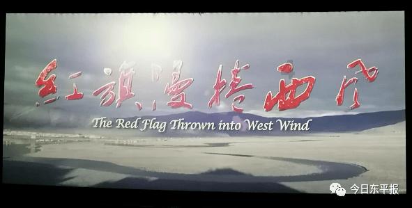 精彩!山东省青年医务工作者协会首届青年健康科普大赛决赛优秀作品现场展示暨颁奖活动圆满举办