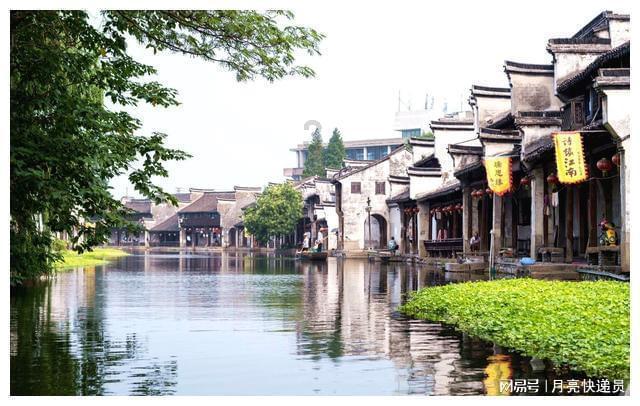 了解9岁儿子7点起床为家人做早餐,如何看待孩子的行为?你会让孩子这样做吗?知识星球,深入探索精彩世界