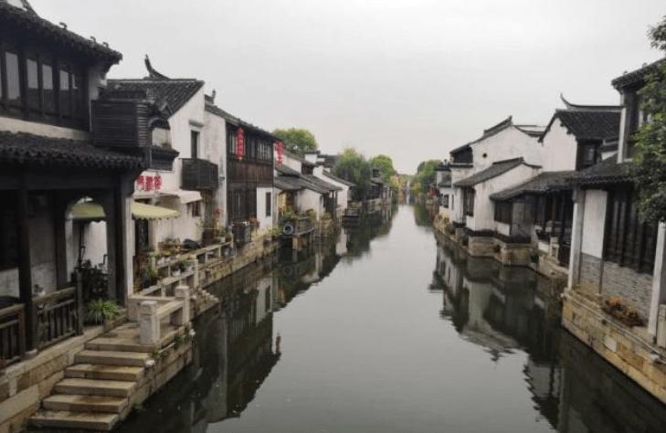 植物大战僵尸20